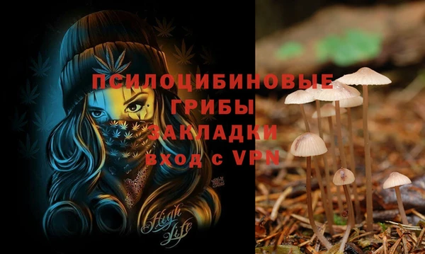 mdpv Алзамай