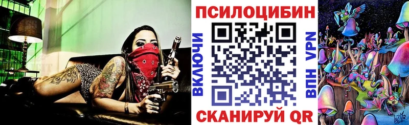 закладки Лебедянь Галлюциногенные грибы Psilocybine cubensis